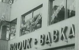 Brouk a Babka v Brně (foto z filmu)